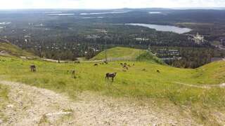 Шале Rukan Ukkoteeri 2 Рука Вилла с 1 спальней-29