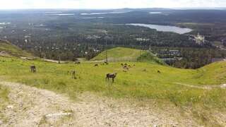 Шале Rukan Ukkoteeri 2 Рука Вилла с 1 спальней-69