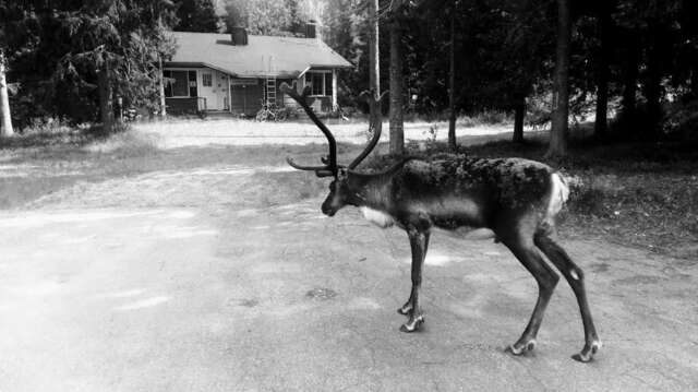 Шале Rukan Ukkoteeri 2 Рука-74